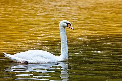 E3 2021：惊悚侦探解谜新作《Conway》预告片公布