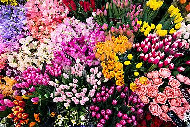 校园建造模拟游戏《学园构想家》宣布7月27日发售 试玩存档可继承