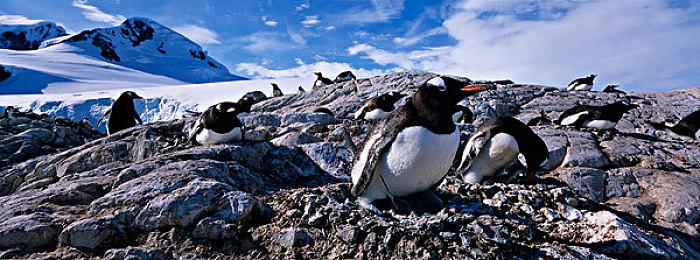 育碧：当前重点是开发开放世界冒险和服务型游戏